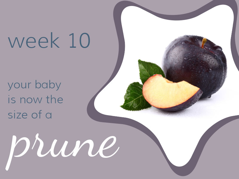 Week 10