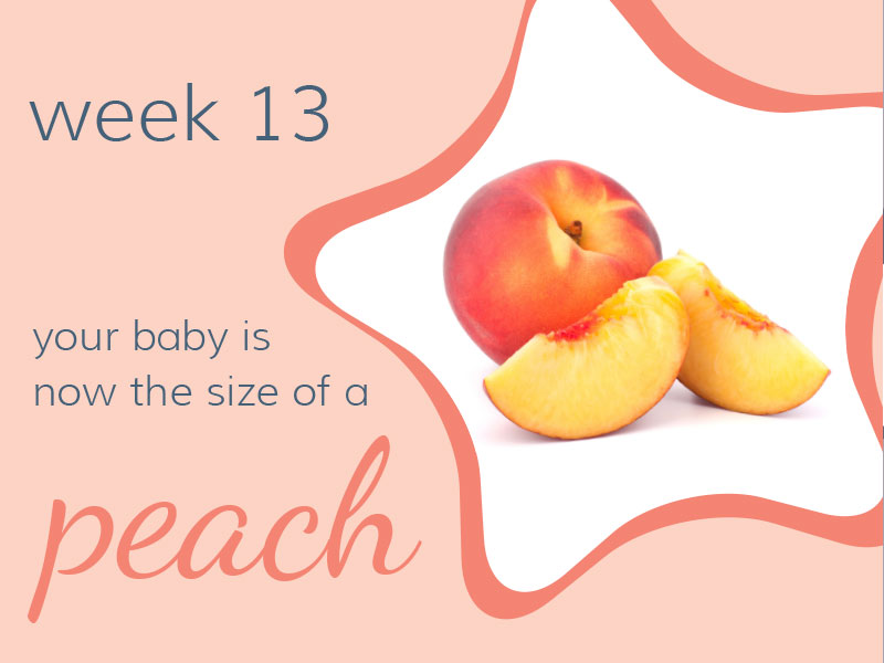 Week 13