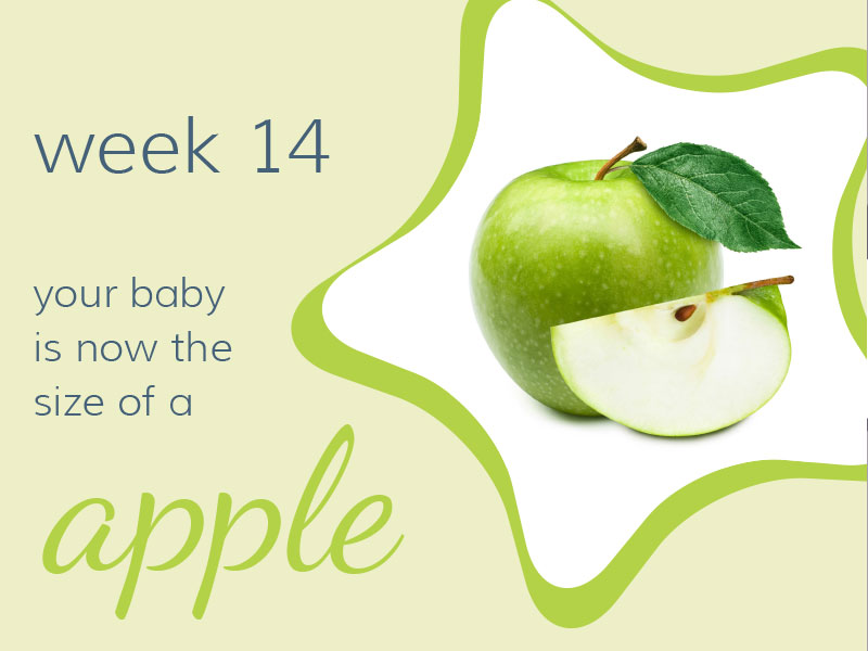 Week 14