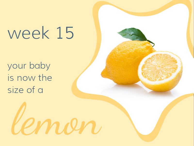Week 15