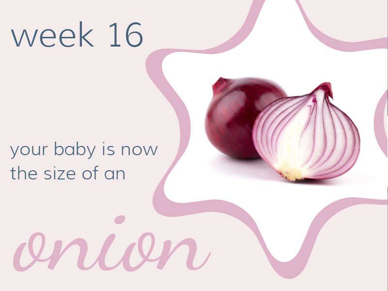 Week 16