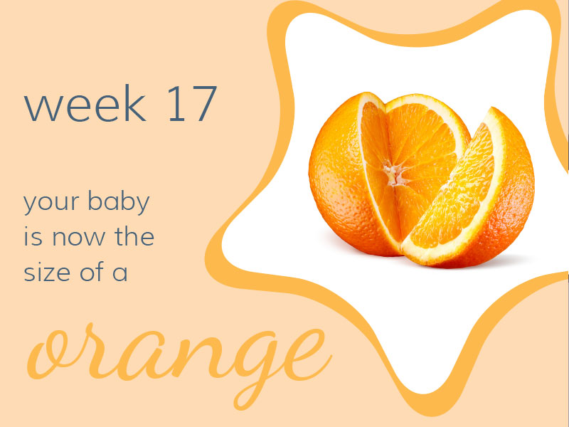Week 17