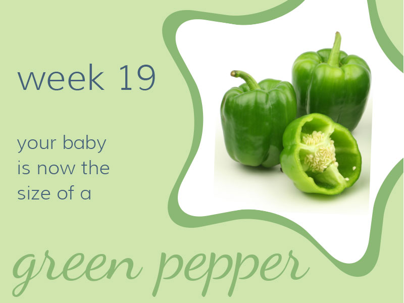 Week 19