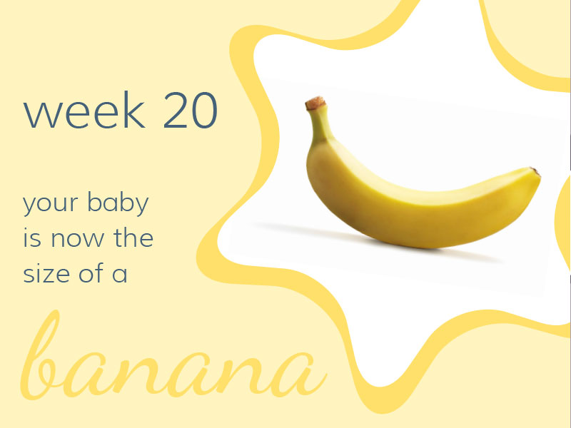 Week 20