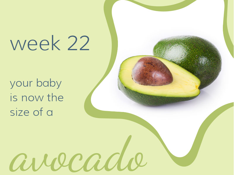 Week 22