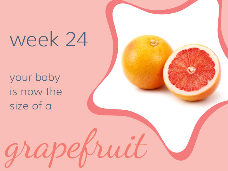 Week 24