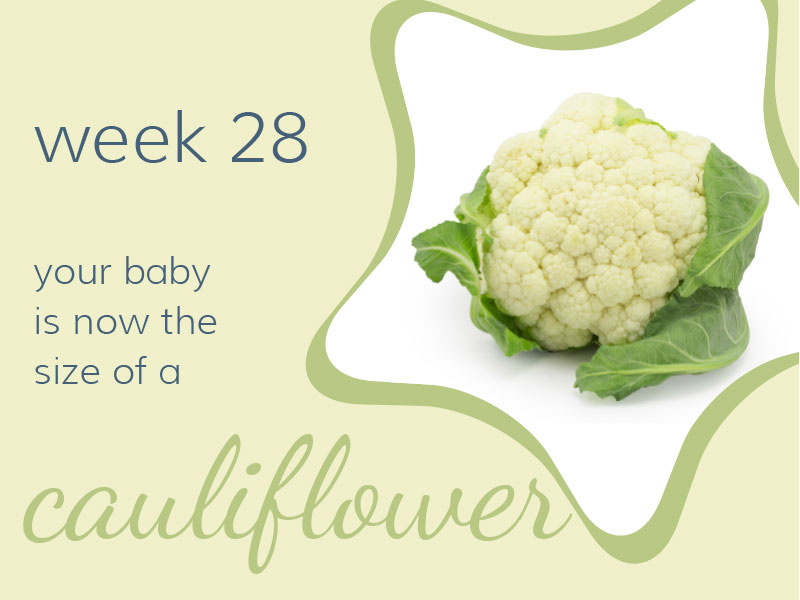 Week 28