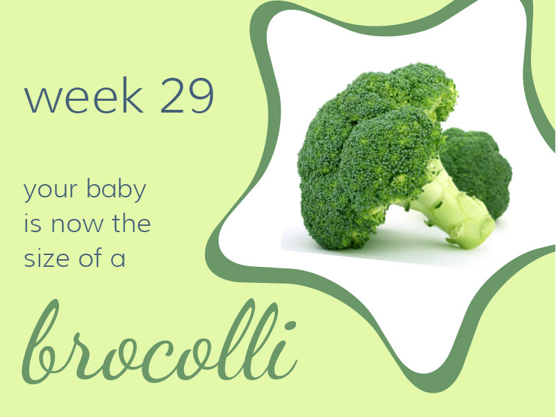 Week 29