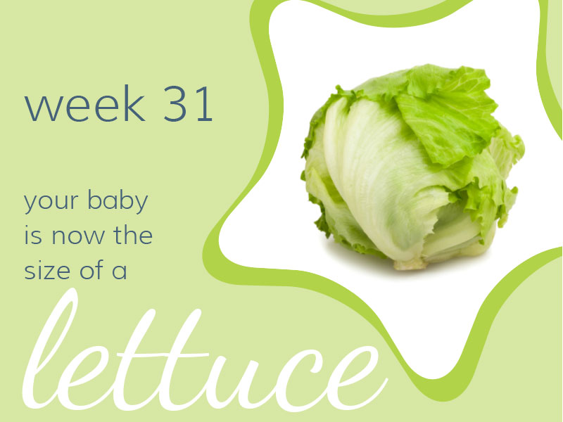 Week 31