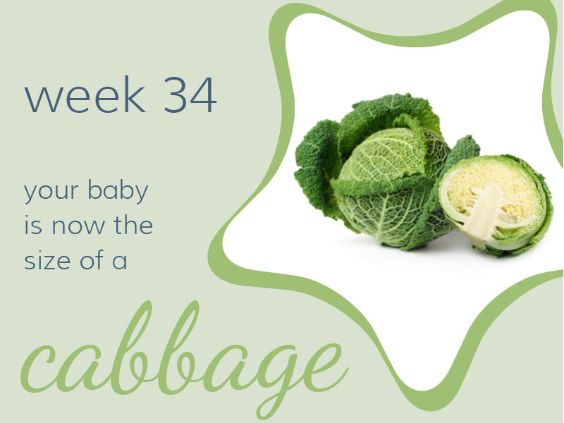Week 34