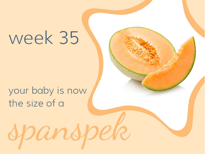 Week 35