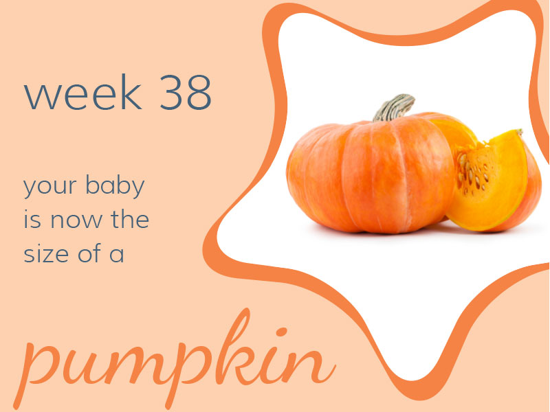 Week 38