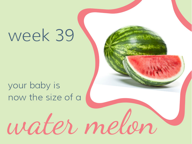 Week 39