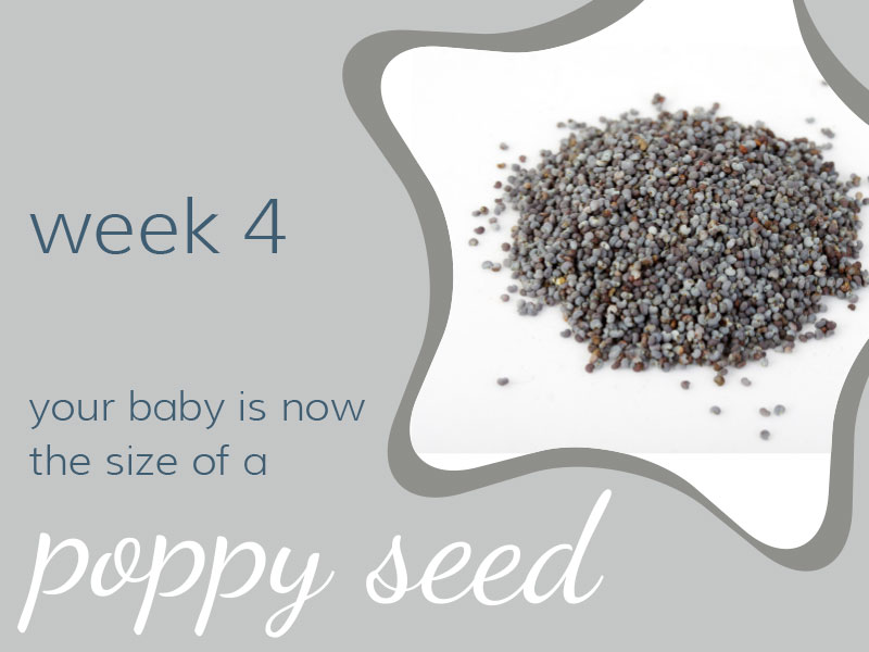 Week 4