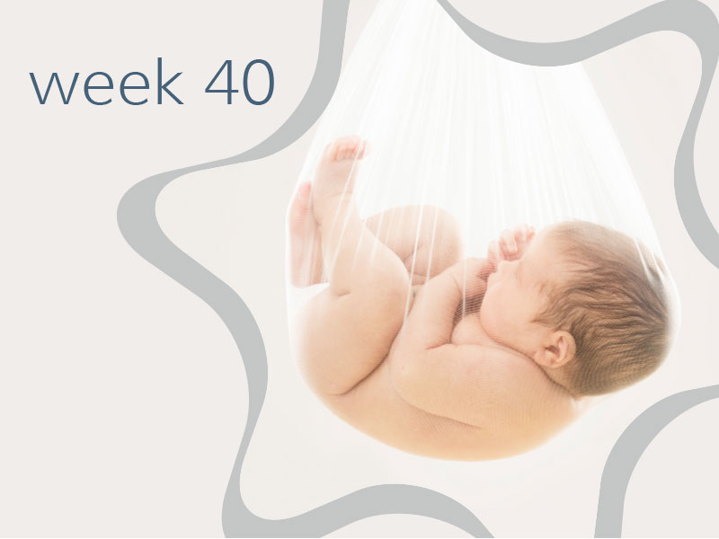 Week 40