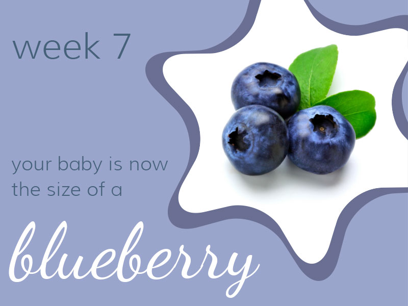 Week 7