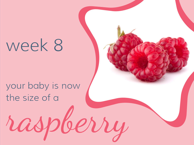 Week 8