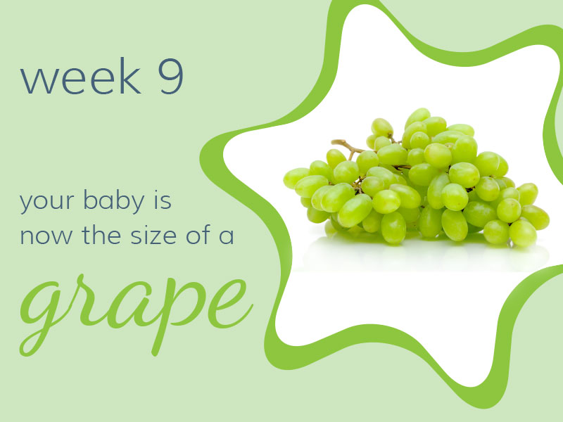 Week 9
